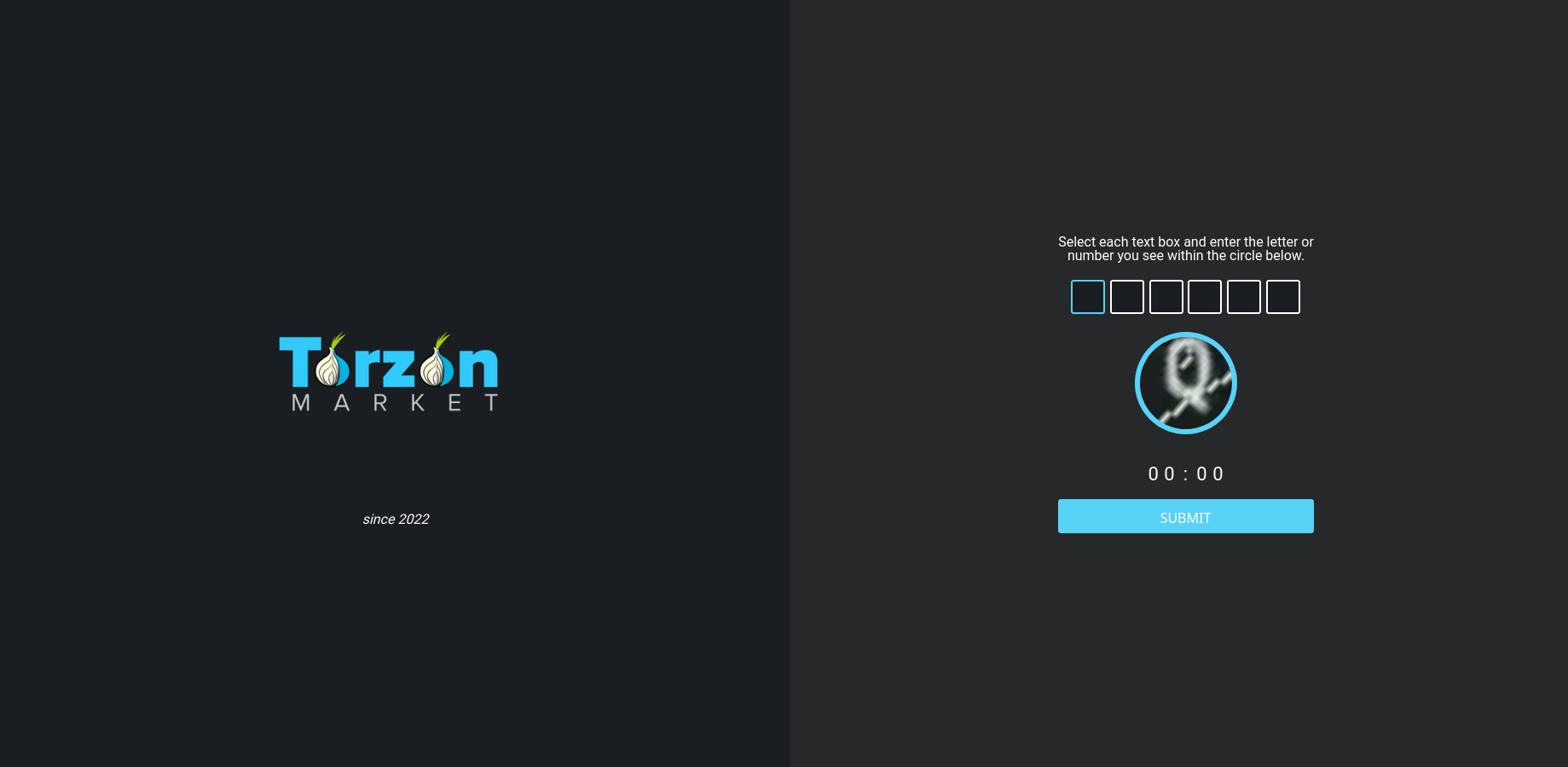 TorZon Market DDoS Protection Page